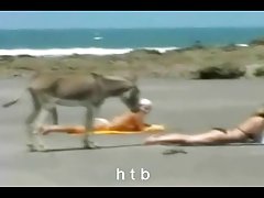 Samantha dövülerek bentley hardcore