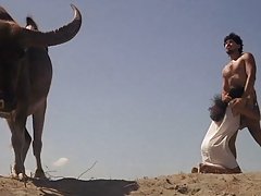 Euro sluts emmek ve lanet - grup seks partisi Bölüm 2